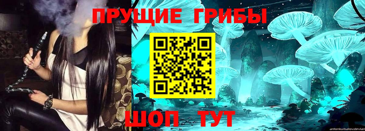 Галлюциногенные грибы Magic Shrooms  Вход с VPN  Галлюциногенные грибы Psilocybe  Артёмовский 
